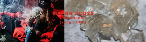 ПСИЛОЦИБИНОВЫЕ ГРИБЫ Балахна
