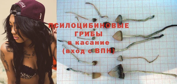 ПСИЛОЦИБИНОВЫЕ ГРИБЫ Балахна