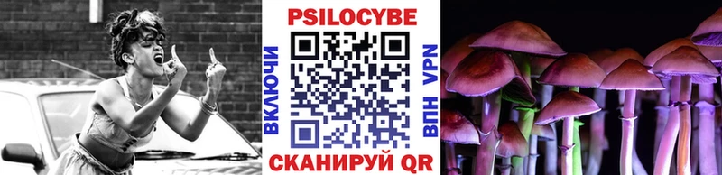 Галлюциногенные грибы Psilocybe  Белоозёрский 